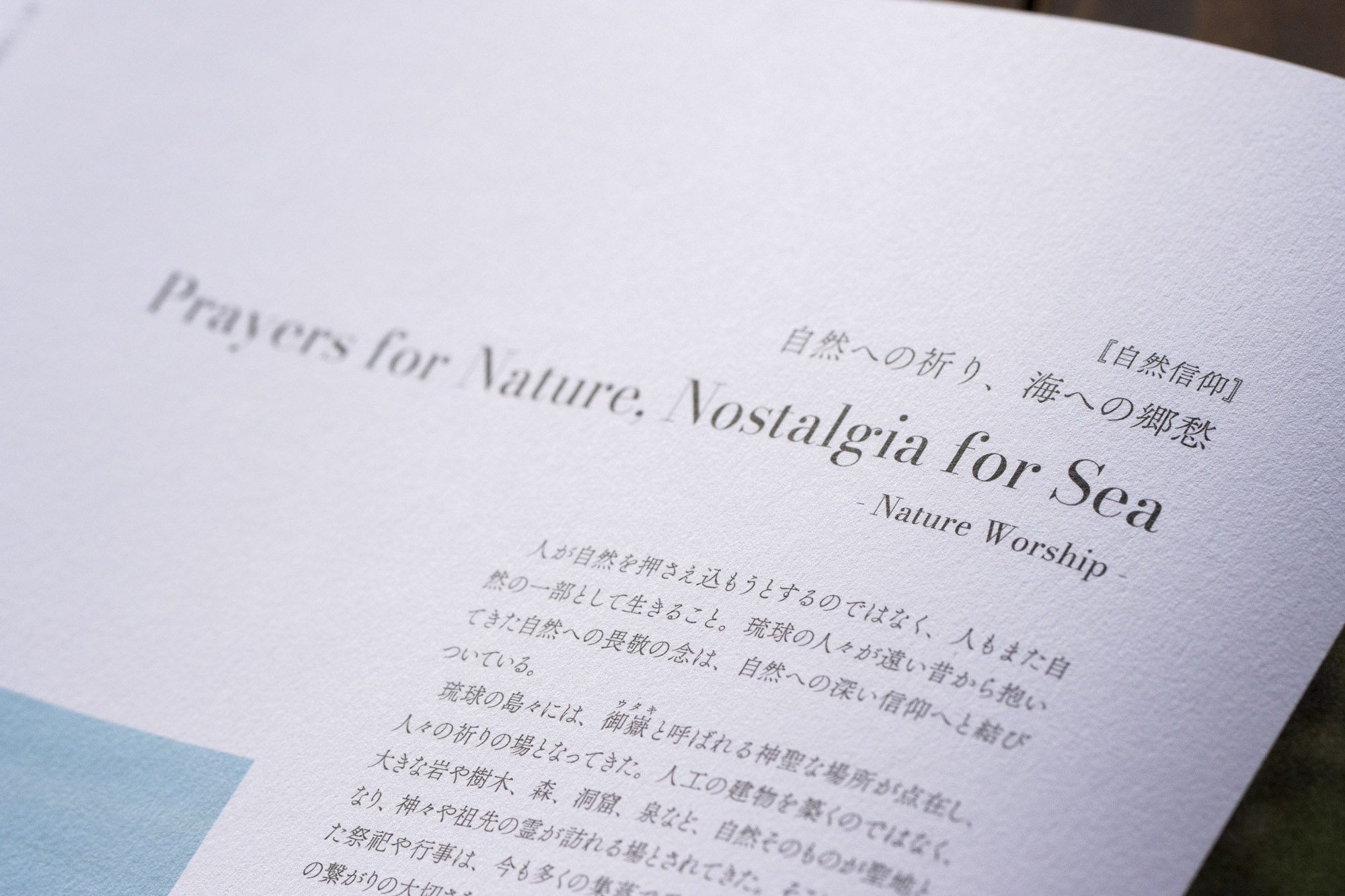 コンセプトブック本文