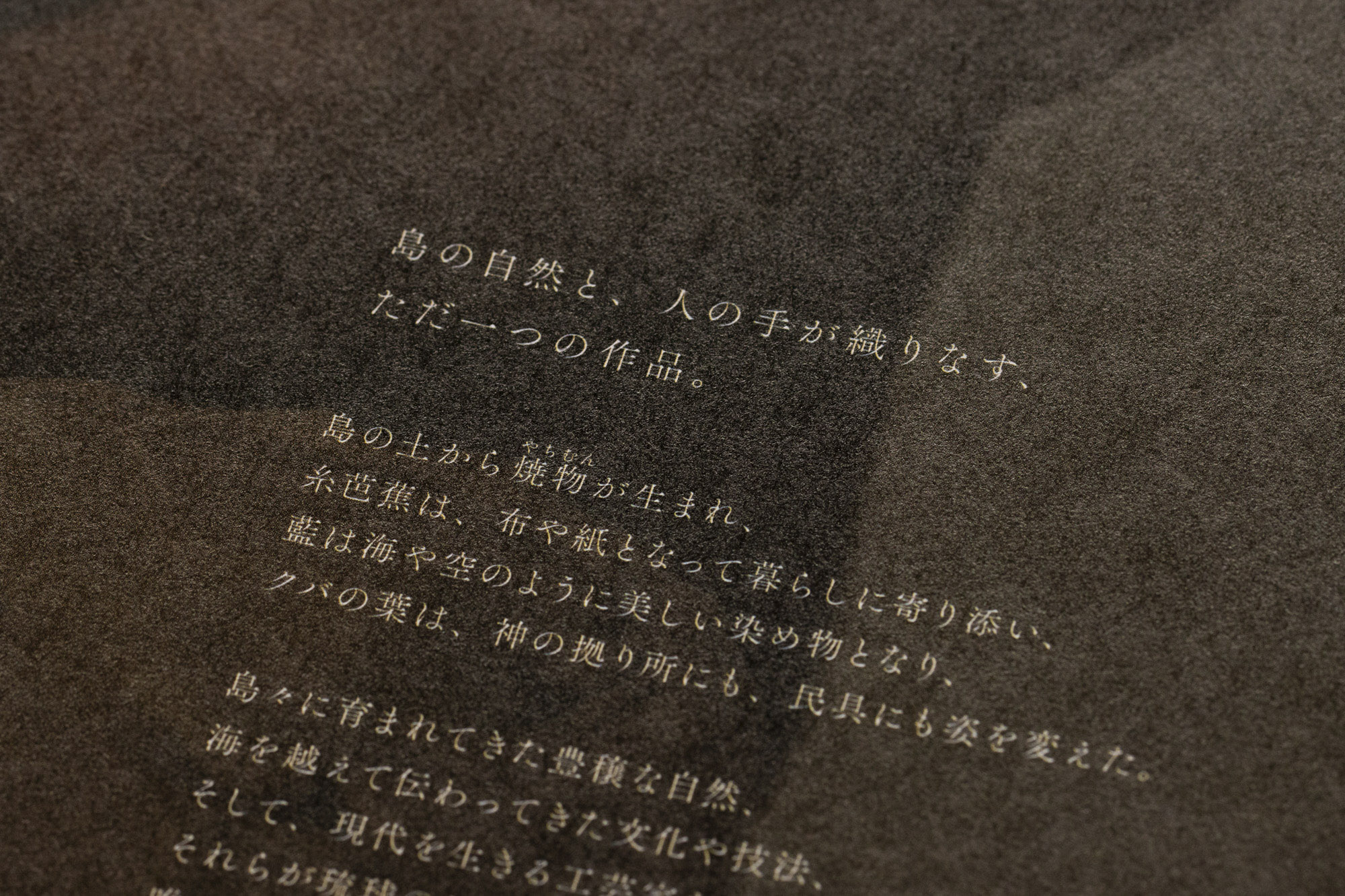 コンセプトブック本文