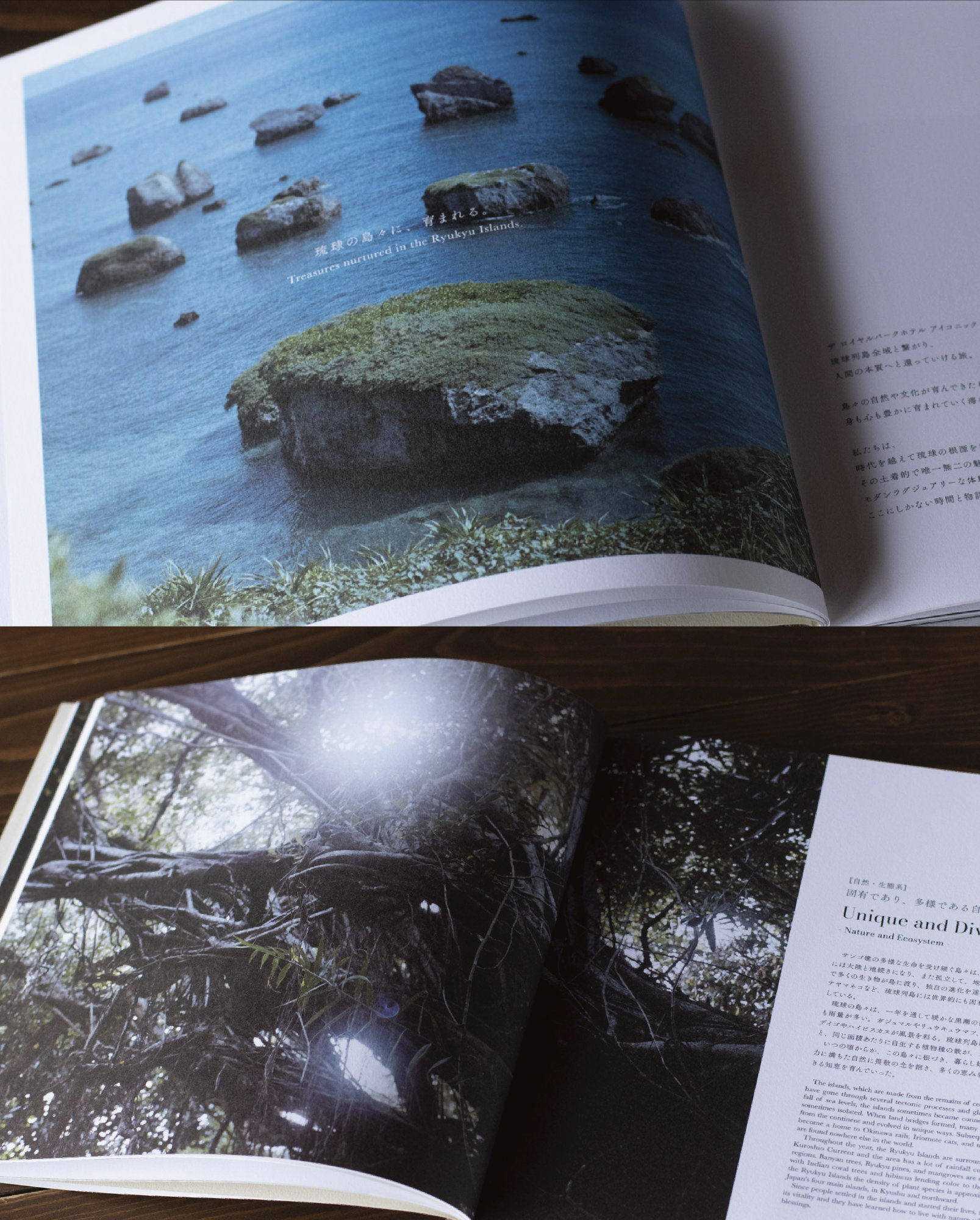 コンセプトブック見開き