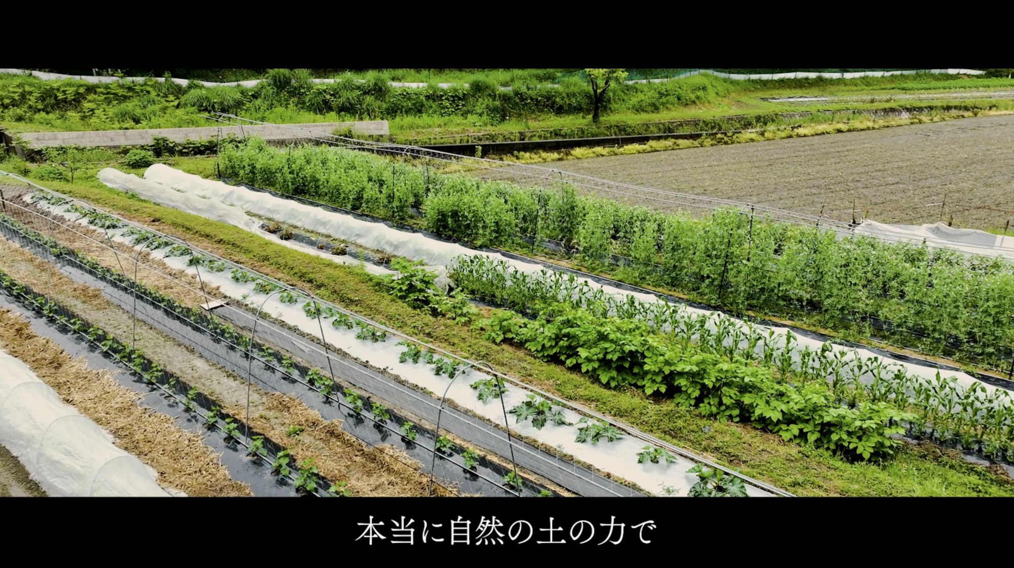 ラブラール美作 スチール3