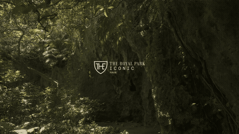 ホテル客室内動画